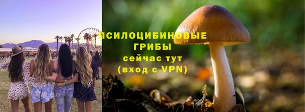 ECSTASY Белоозёрский