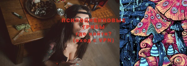 круглые Белокуриха