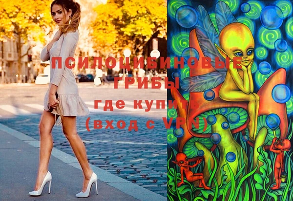 круглые Белокуриха